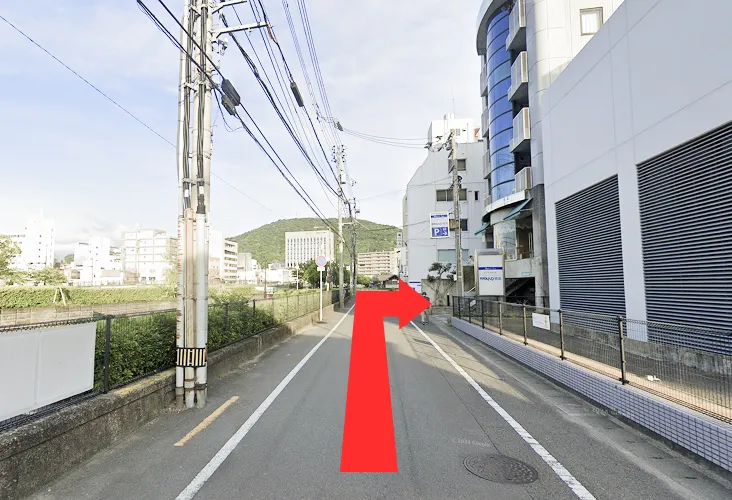 仮の写真